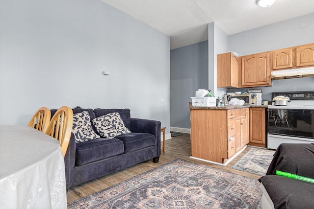 living room featuring baseboards and light wood finished floors