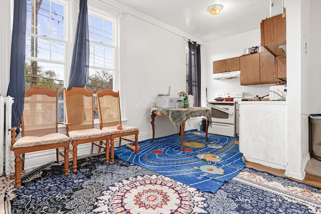 interior space with wood finished floors