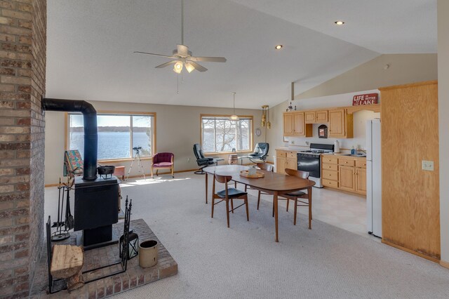 7891 Cynthia Ln NE, Remer, MN 56672 - photo 7
