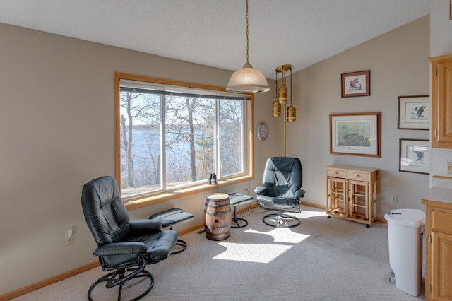 7891 Cynthia Ln NE, Remer, MN 56672 - photo 9