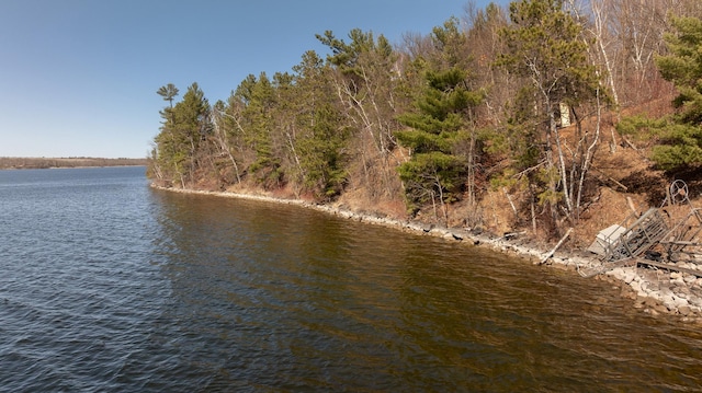 7891 Cynthia Ln NE, Remer, MN 56672 - photo 35
