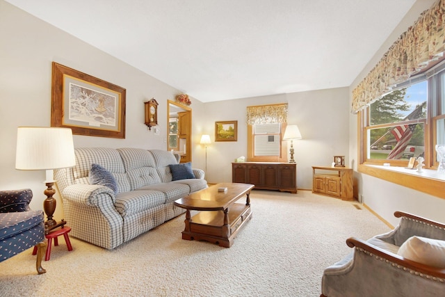 517 2nd St, Waconia, MN 55387 - living area with carpet flooring and radiator heating unit