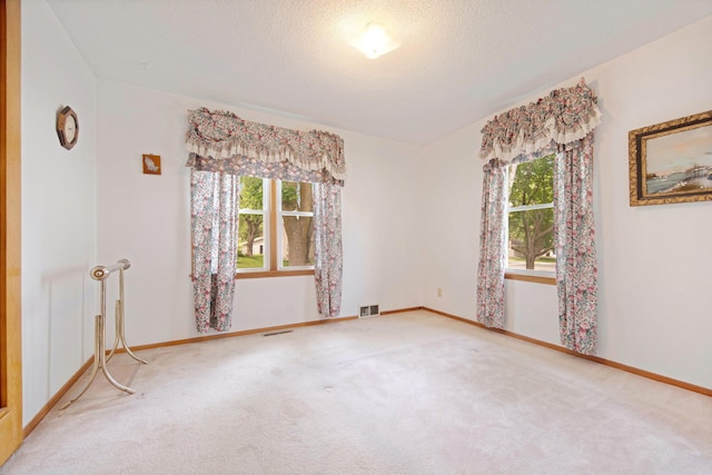 517 2nd St, Waconia, MN 55387 - carpeted empty room with plenty of natural light and a textured ceiling