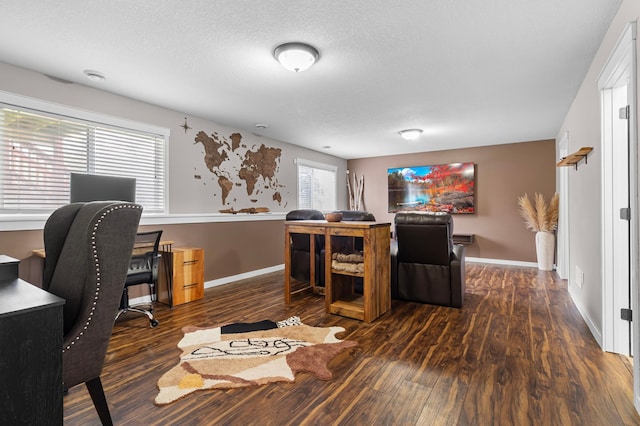 1226 1st St, Saint Paul Park, MN 55071 - office space featuring baseboards, a textured ceiling, and wood finished floors
