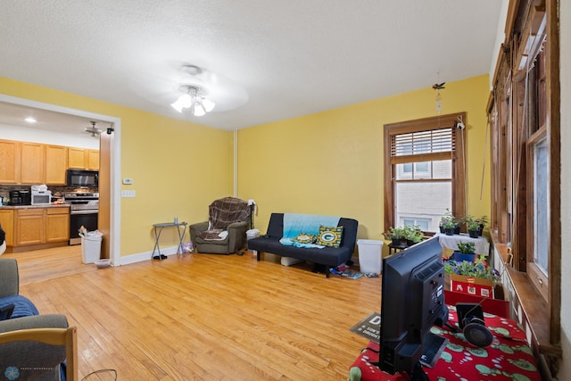 803 10th Ave N, Fargo, ND 58102 - living area with a textured ceiling, baseboards, and light wood-style floors
