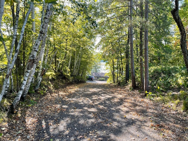 view of road with a view of trees