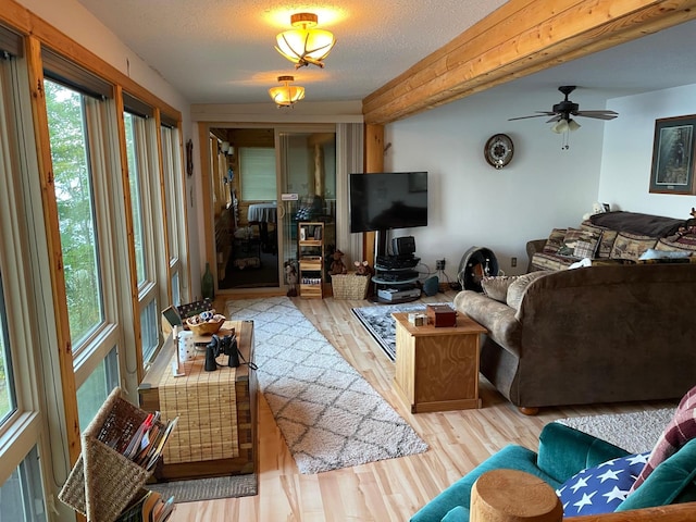living room with ceiling fan and wood finished floors