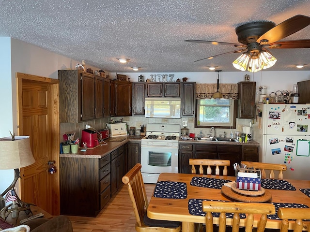 kitchen featuring dark brown cabinets, a sink, light wood finished floors, white appliances, and tasteful backsplash