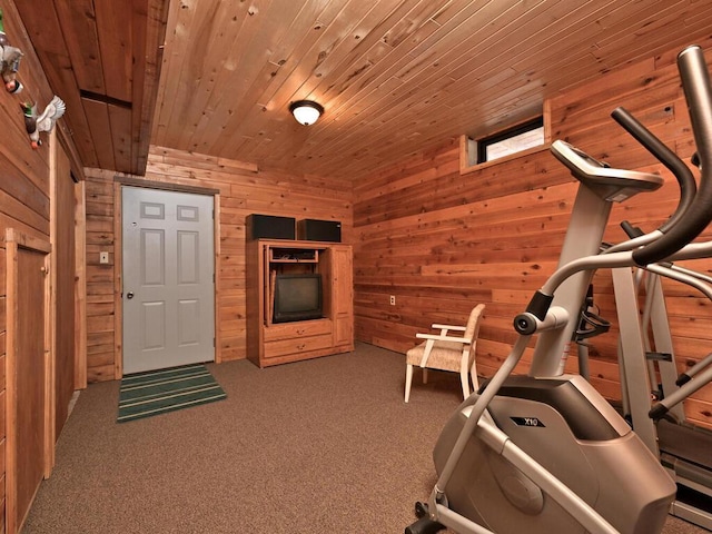 20703 Aspen Dr, Grand Rapids, MN 55744 - workout area with wood ceiling, carpet flooring, and wood walls
