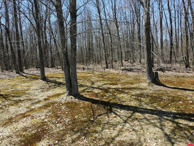 20703 Aspen Dr, Grand Rapids, MN 55744 - view of nature with a view of trees