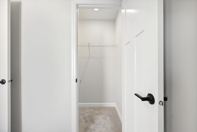 spacious closet featuring light carpet