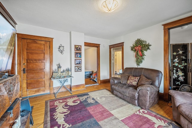 living room with baseboards and wood finished floors