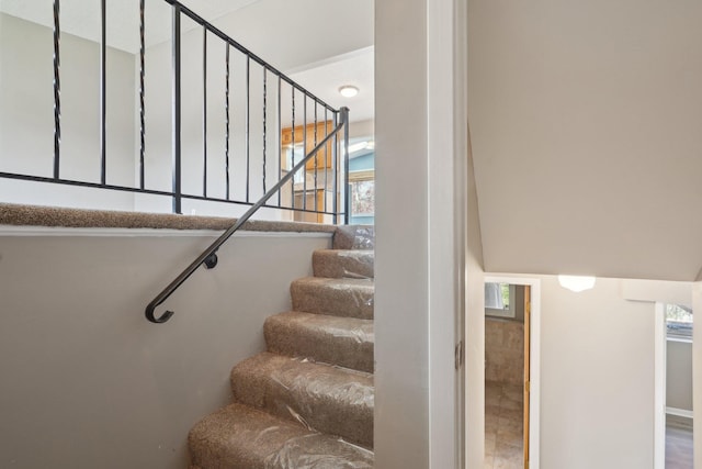 staircase with a healthy amount of sunlight
