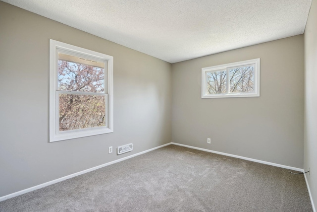 carpeted spare room with a textured ceiling, baseboards, and a healthy amount of sunlight