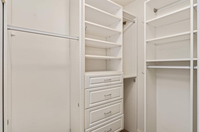 view of spacious closet