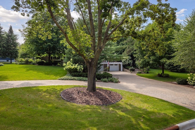 view of property hidden behind natural elements featuring curved driveway and a front yard