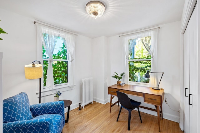 office area with plenty of natural light, baseboards, light wood-style flooring, and radiator heating unit