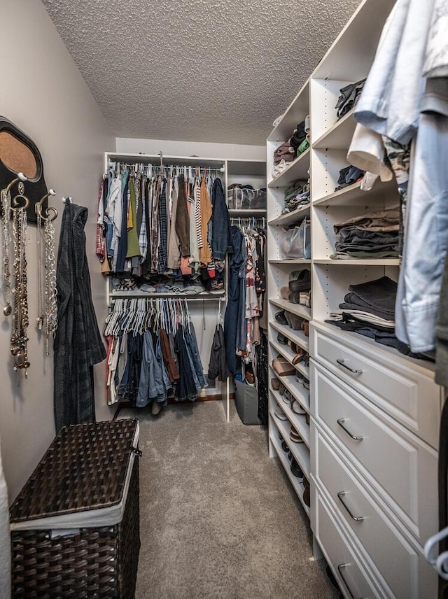 19288 Evenston Dr, Farmington, MN 55024 - spacious closet with carpet