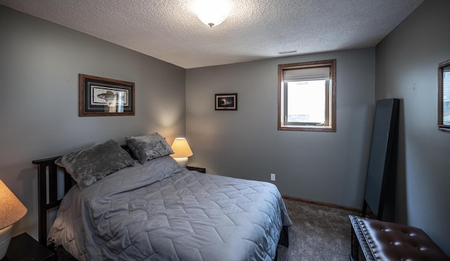 19288 Evenston Dr, Farmington, MN 55024 - carpeted bedroom with a textured ceiling, multiple windows, and baseboards