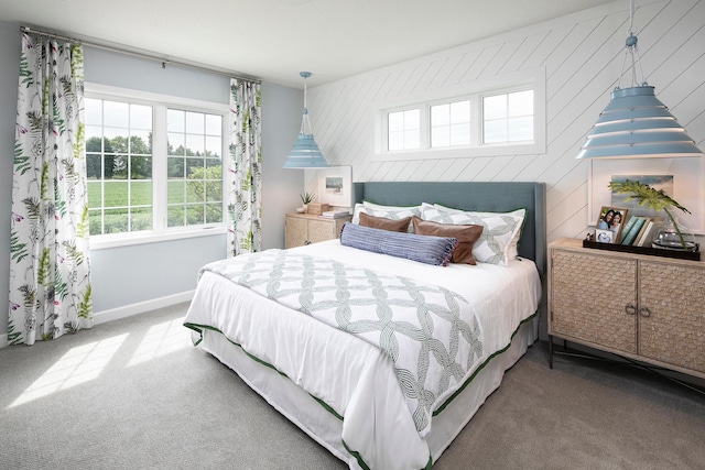 2717 Kalland Ave NE, Saint Michael, MN 55376 - bedroom featuring carpet flooring and baseboards