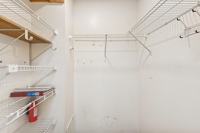 14575 Burma Ave W Unit 202, Rosemount, MN 55068 - view of walk in closet