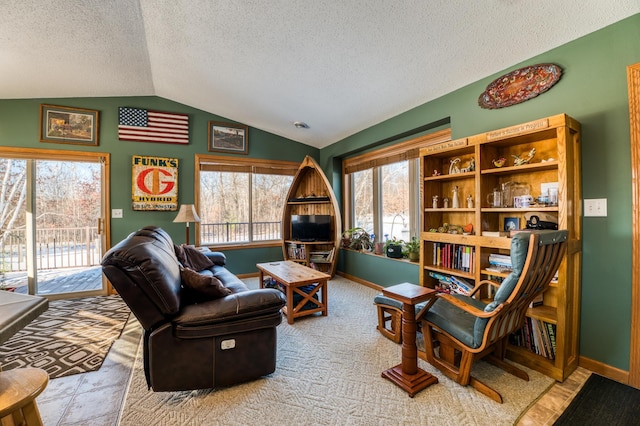 16693 Hightop Way NW, Cass Lake, MN 56633 - living room with lofted ceiling, a textured ceiling, and baseboards