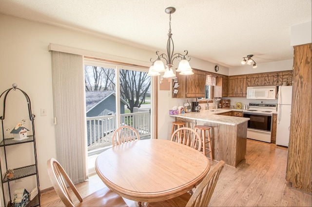 36 Ben Nevis Ln, Waite Park, MN 56387 - dining room featuring a textured ceiling, light wood finished floors, and a notable chandelier
