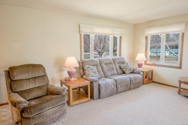 36 Ben Nevis Ln, Waite Park, MN 56387 - carpeted living room with baseboards, a textured ceiling, and a healthy amount of sunlight