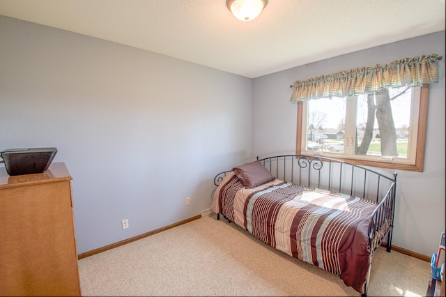 36 Ben Nevis Ln, Waite Park, MN 56387 - bedroom with baseboards and carpet flooring