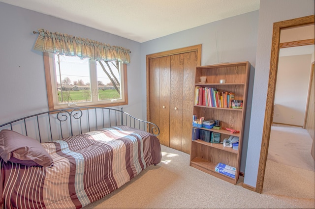 36 Ben Nevis Ln, Waite Park, MN 56387 - bedroom featuring a closet and carpet flooring