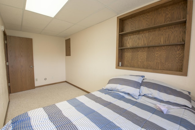 36 Ben Nevis Ln, Waite Park, MN 56387 - carpeted bedroom featuring baseboards, a drop ceiling, and electric panel