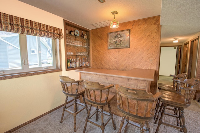 36 Ben Nevis Ln, Waite Park, MN 56387 - indoor dry bar featuring carpet flooring, a textured ceiling, and wood walls