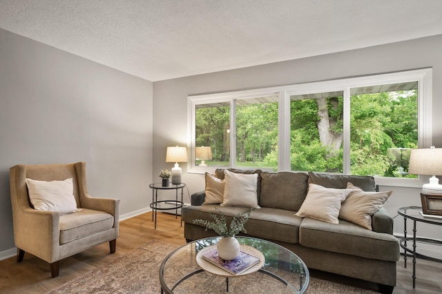 21485 Inwood Ave N, Forest Lake, MN 55025 - living room with wood finished floors, baseboards, a baseboard heating unit, and a textured ceiling