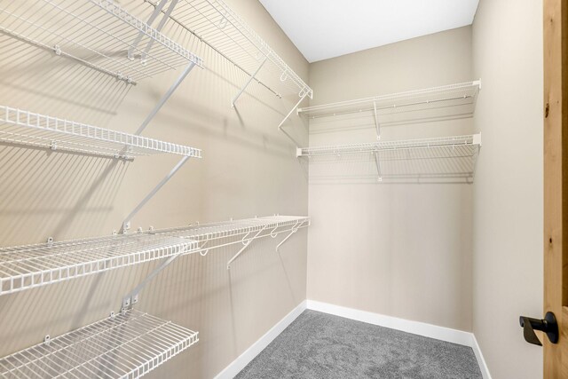 25882 Emerson Ct, Wyoming, MN 55092 - spacious closet featuring carpet