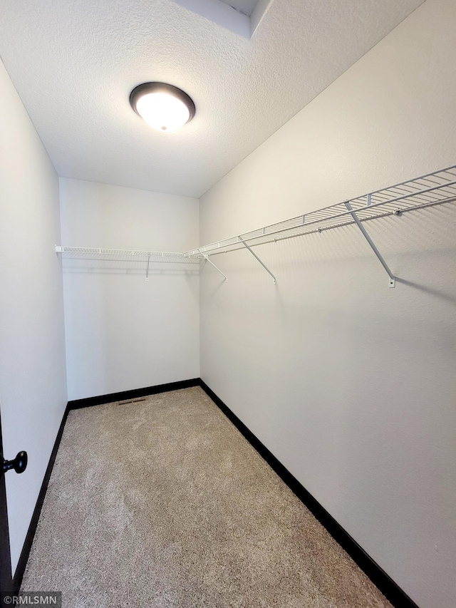 spacious closet featuring carpet