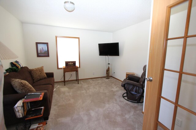 932 Spruce Ave S, Thief River Falls, MN 56701 - living area with carpet flooring and baseboards