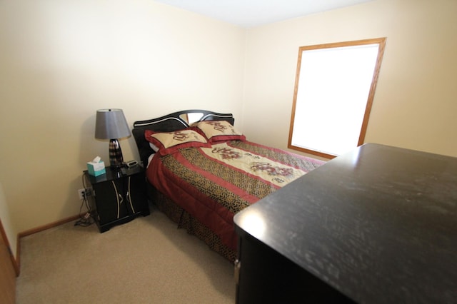 932 Spruce Ave S, Thief River Falls, MN 56701 - bedroom with light carpet