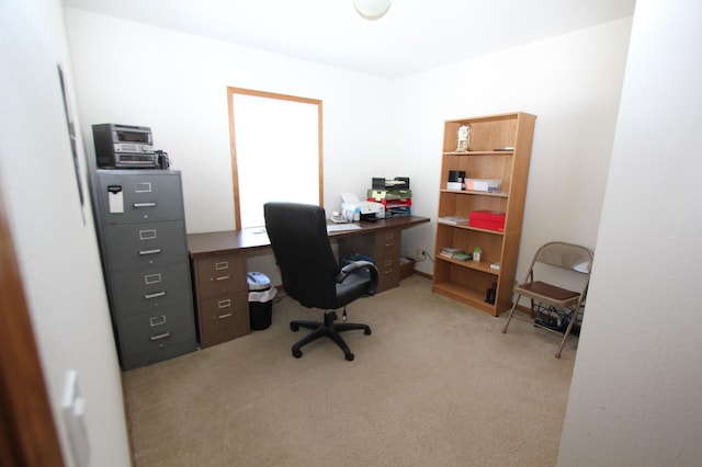 932 Spruce Ave S, Thief River Falls, MN 56701 - office featuring light carpet