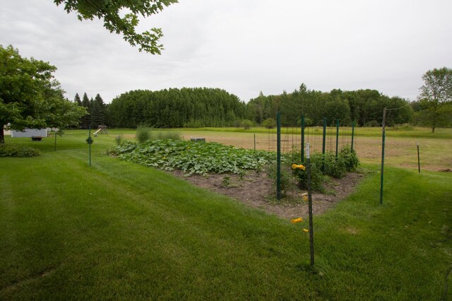 932 Spruce Ave S, Thief River Falls, MN 56701 - view of yard with a rural view