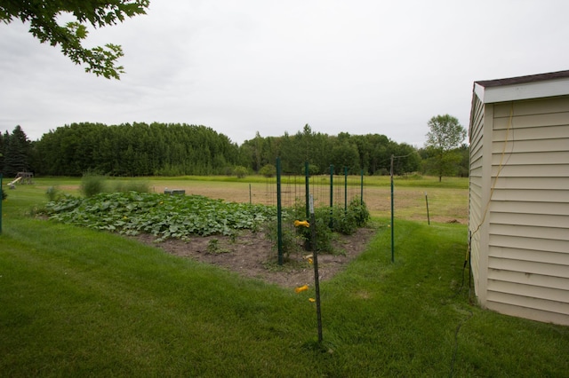 932 Spruce Ave S, Thief River Falls, MN 56701 - view of yard