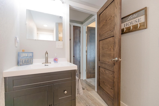 43 Blue Stem Rd, Shetek Twp, MN 56175 - bathroom with wood finished floors and vanity