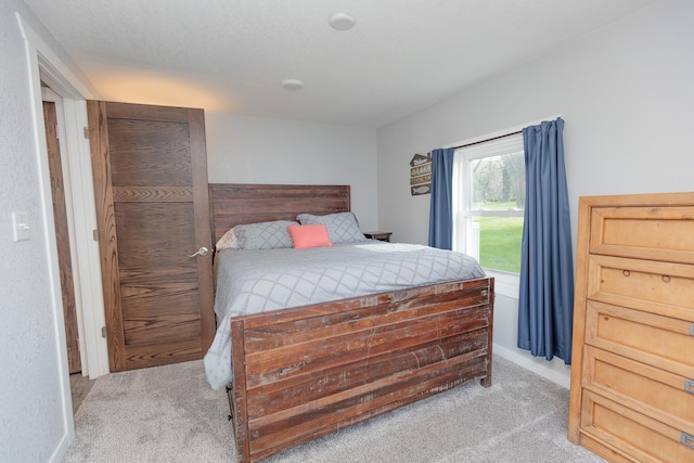 43 Blue Stem Rd, Shetek Twp, MN 56175 - bedroom with light carpet