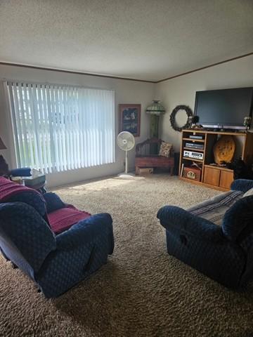living area with carpet flooring, a textured ceiling, and a healthy amount of sunlight