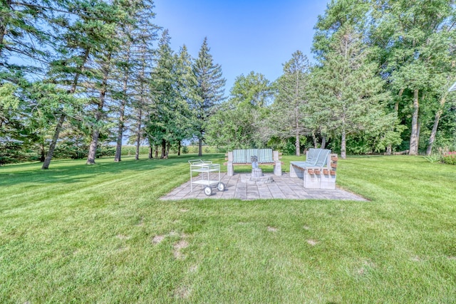 view of yard with a patio area