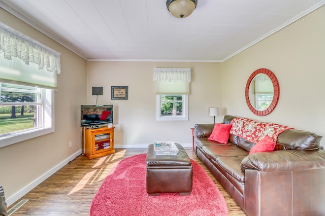 living area featuring crown molding, baseboards, and wood finished floors