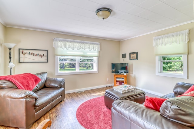 living area featuring baseboards, ornamental molding, wood finished floors, and a wealth of natural light