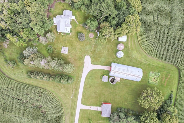 drone / aerial view