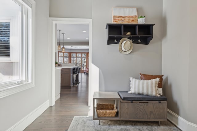 2454 Crowne Hill Rd, Minnetonka, MN 55305 - mudroom with recessed lighting, baseboards, and wood finished floors