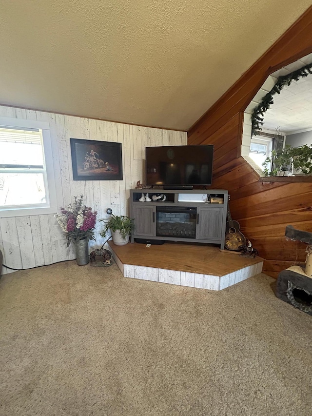 living area with wooden walls and carpet