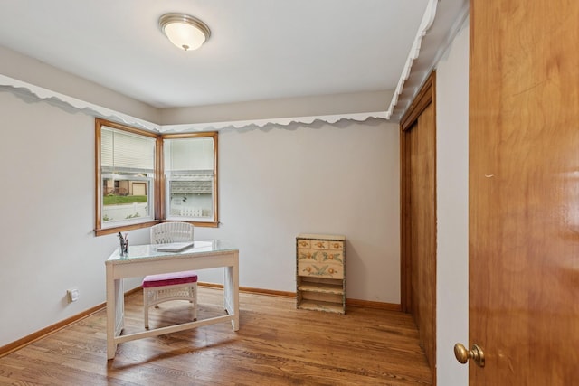 3215 146th St W, Rosemount, MN 55068 - home office featuring wood finished floors and baseboards